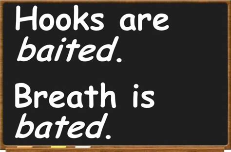 Baited Definition & Meaning .